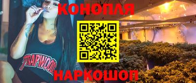 стаф Будённовск