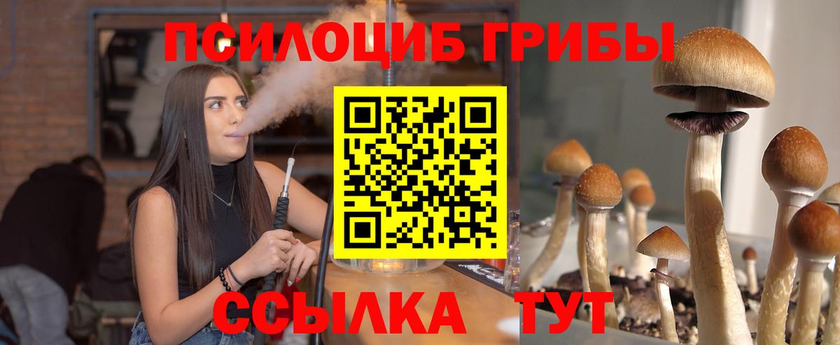 наркошоп  Галлюциногенные грибы мухоморы  Вход с VPN  Котлас 